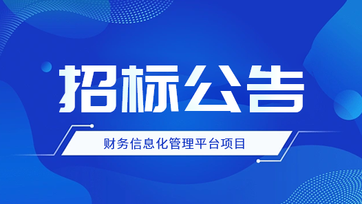 2023年合肥东胜新(xīn)能(néng)源科(kē)技(jì )（集团）有(yǒu)限公(gōng)司财務(wù)信息化管理(lǐ)平台项目招标公(gōng)告