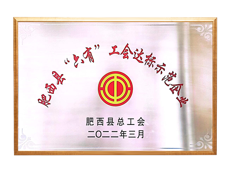 肥西县“六有(yǒu)”工(gōng)会达标示范企业